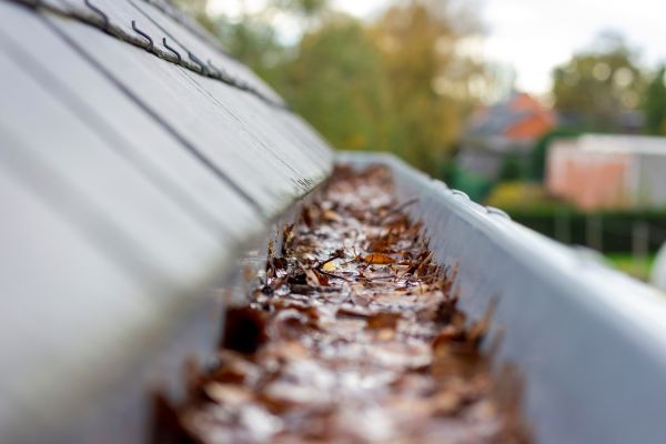 Commercial Gutter Cleaning in Panama City Beach