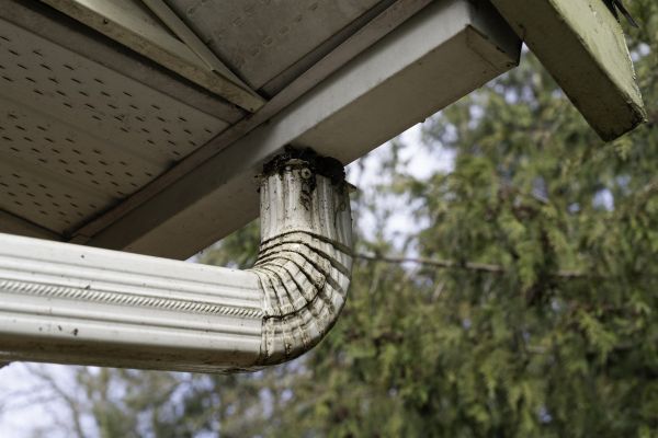 Downspout Cleaning in Panama City Beach