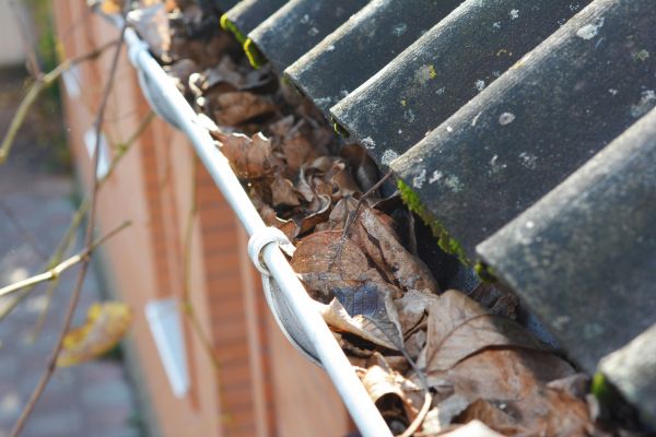 Cost of Home Gutter Cleaning in Panama City Beach