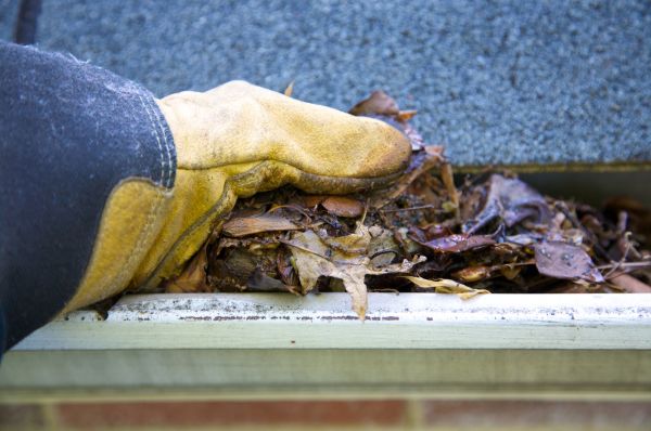 Jammed Gutter Cleaning in Panama City Beach
