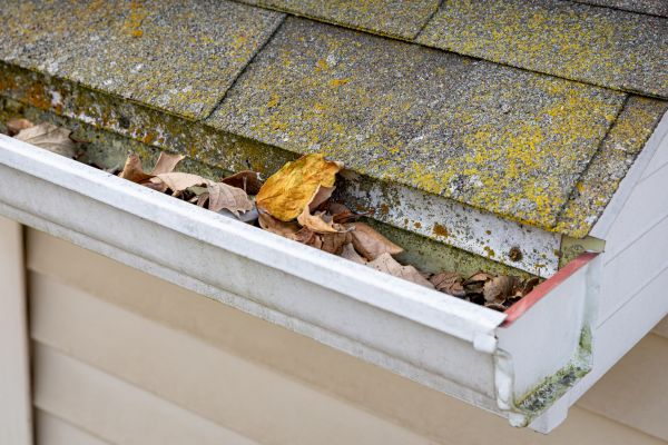 Garage Gutter Cleaning in Panama City Beach