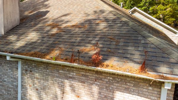 Gutter Pine Needle Removal in Panama City Beach