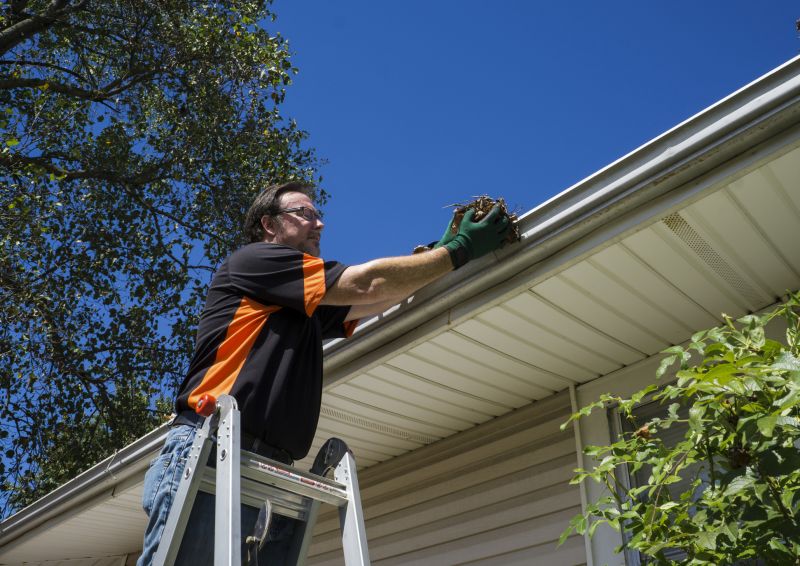 Gutter Cleaning detail