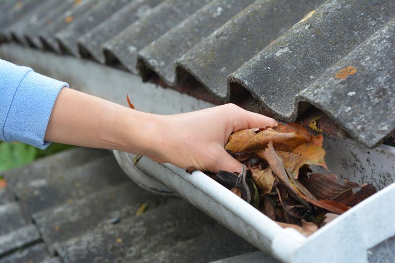 Gutter Guard Maintenance