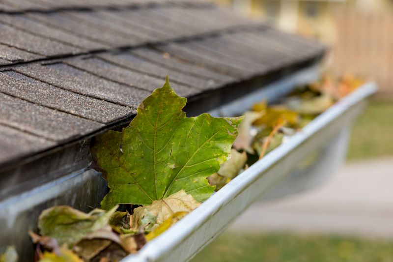 Clean Gutter System