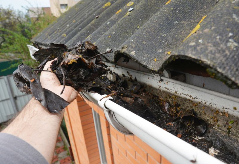 Clean Gutters with Gutter Brush