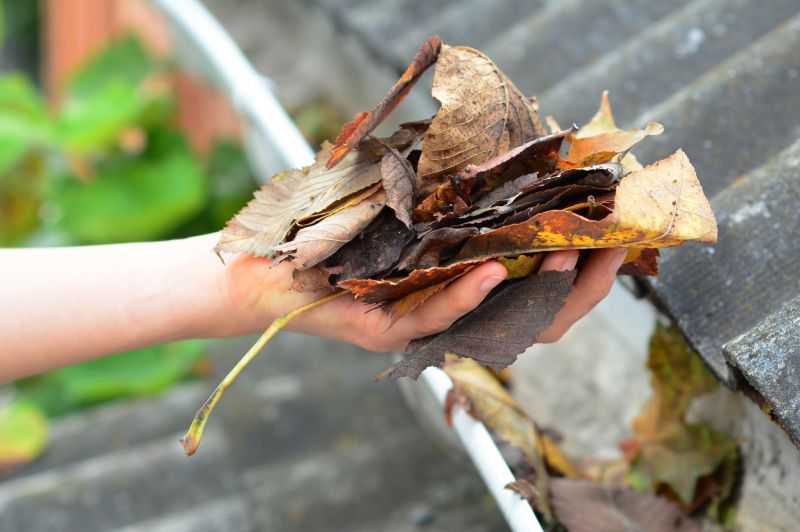 Leaf Gutter Cleaning